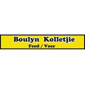Boulyn Logo B